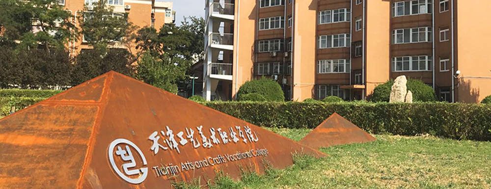 2024年天津工艺美术职业学院广告艺术设计专业在山东招生选考科目要求(图1)