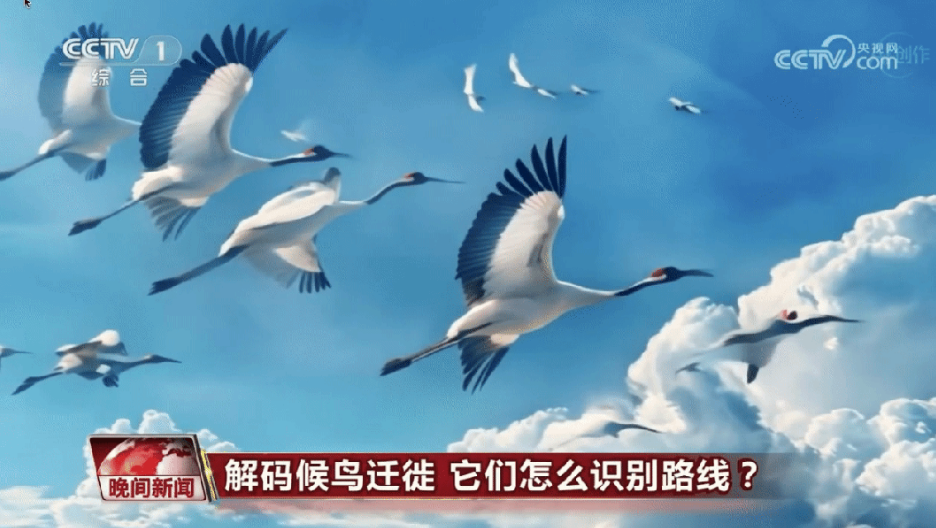 这一次央视用AI播新闻了(图2) 这一次央视用AI播新闻了(图2)