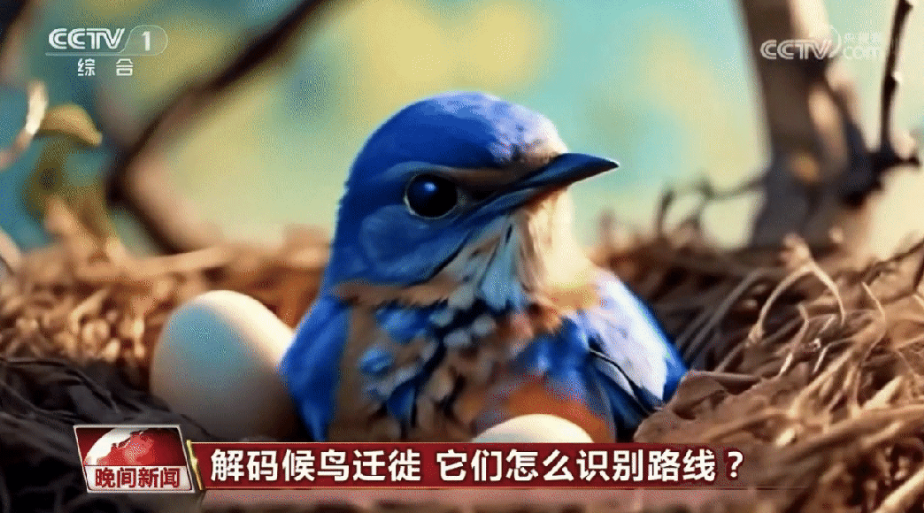 这一次央视用AI播新闻了(图3) 这一次央视用AI播新闻了(图3)