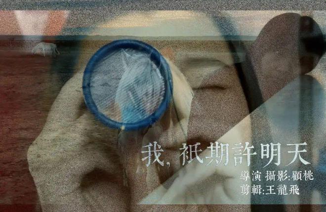 第二届“导演艺术展”参展艺术家及作品介绍(图16) 第二届“导演艺术展”参展艺术家及作品介绍(图16)