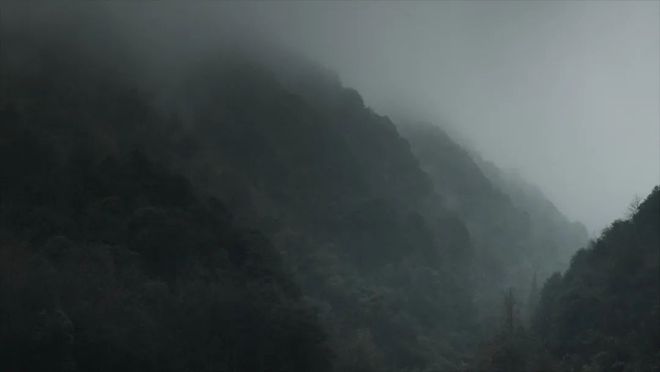 第二届“导演艺术展”参展艺术家及作品介绍(图14) 第二届“导演艺术展”参展艺术家及作品介绍(图14)
