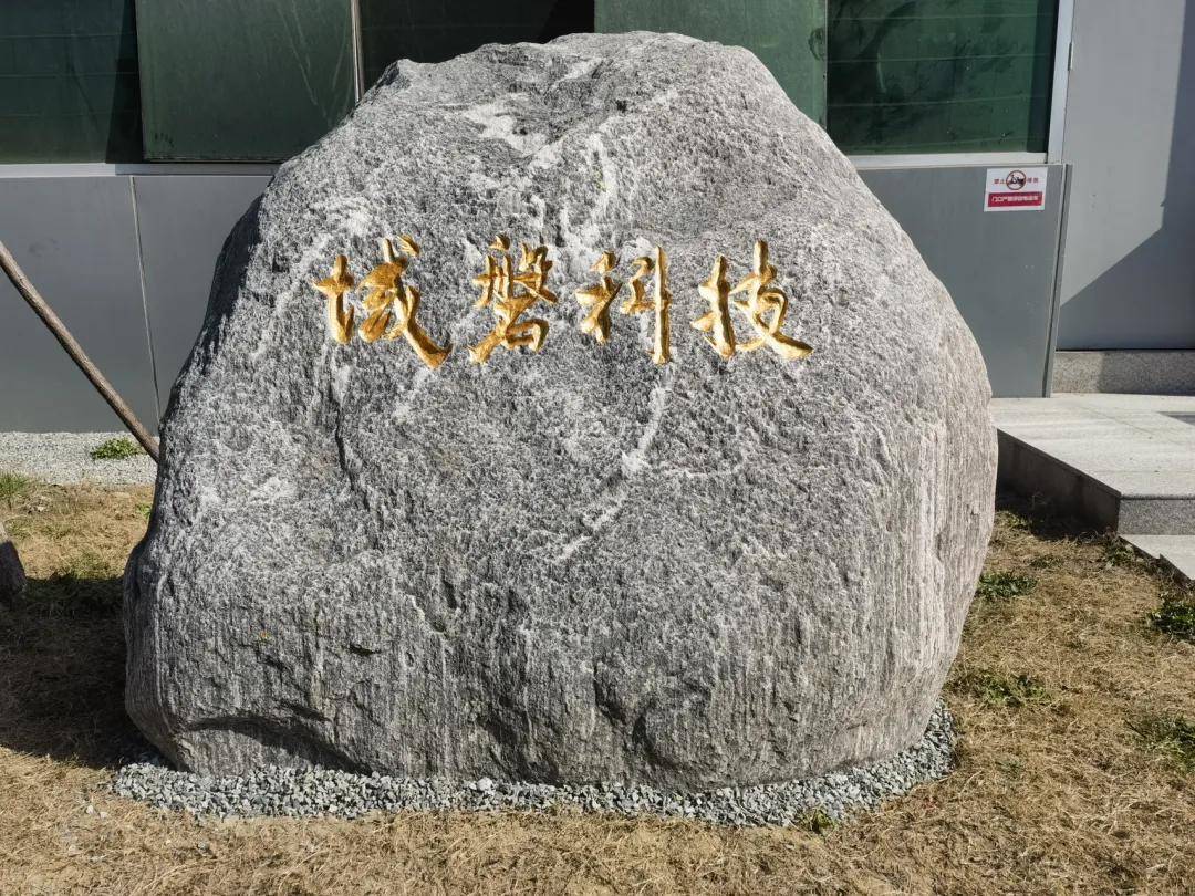 【清流资本·硬币的另一面】域磐科技：国内首家后轮转向量产(图4)