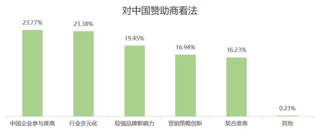 欧洲杯品牌广告调研(图18)