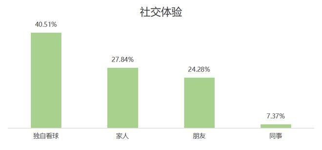 欧洲杯品牌广告调研(图10)