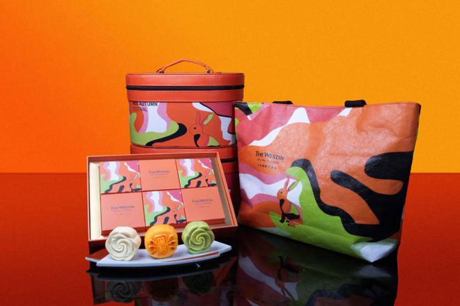 一周资讯 杨幂、赵露思出任品牌代言人辛芷蕾演绎品牌秋冬大片(图2)
