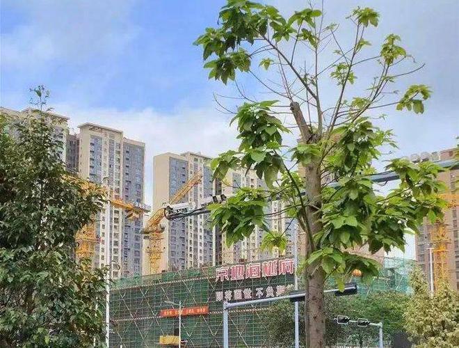 官方发布:2024年9月最新京地海樾府房价价格详情房价单价64万(图1) 官方发布:2024年9月最新京地海樾府房价价格详情房价单价64万(图1)