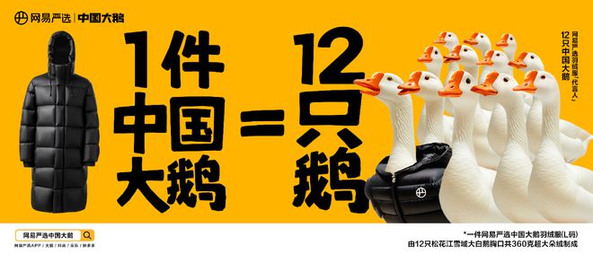 请12只鹅做代言人网易严选“中国大鹅”引领国产羽绒服新风尚(图1)