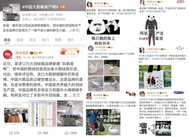请12只鹅做代言人网易严选“中国大鹅”引领国产羽绒服新风尚(图2)