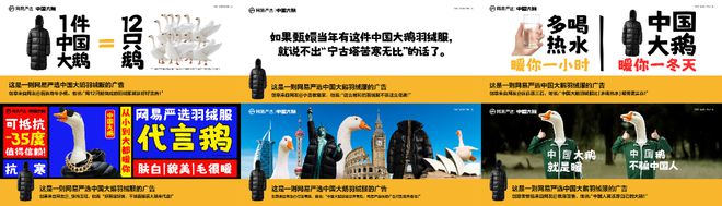 请12只鹅做代言人网易严选“中国大鹅”引领国产羽绒服新风尚(图3)