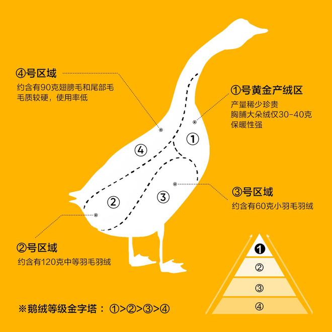 请12只鹅做代言人网易严选“中国大鹅”引领国产羽绒服新风尚(图4)