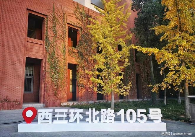 首都师范大学好不好？唯一受邀的市属高校美术界的“潜力股”(图4)