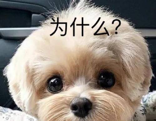马面裙事件再上演？FENDI帮着韩国当起了文化小偷？(图22)